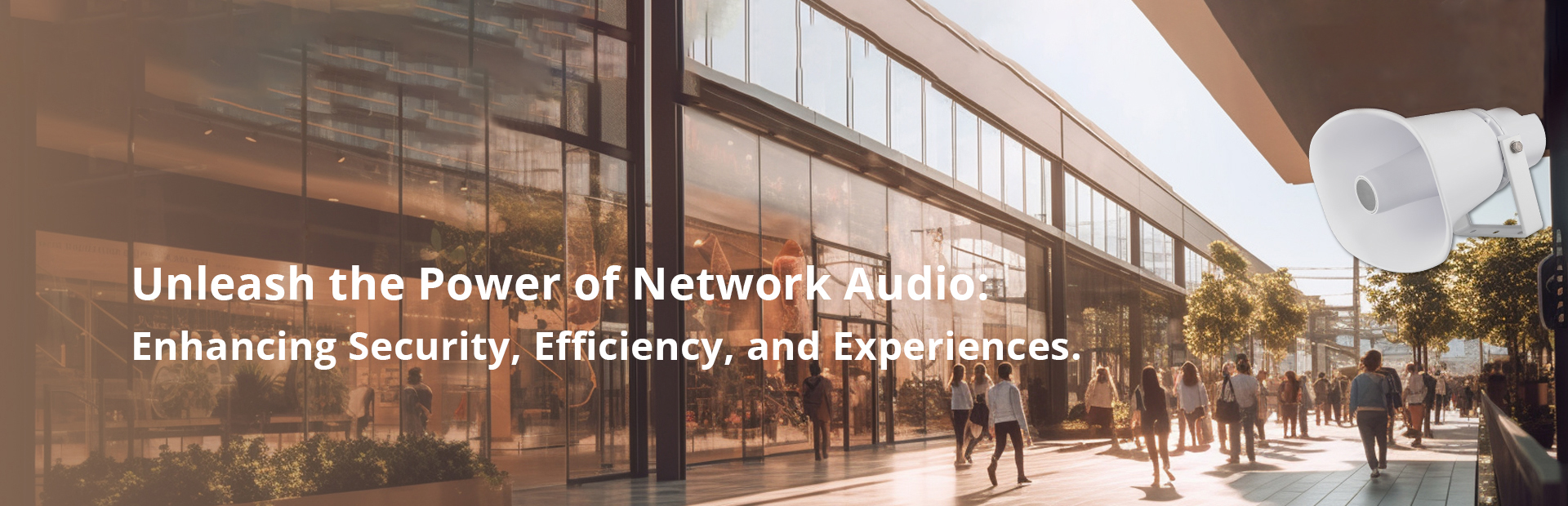 Netzwerk-Audio-Lösung